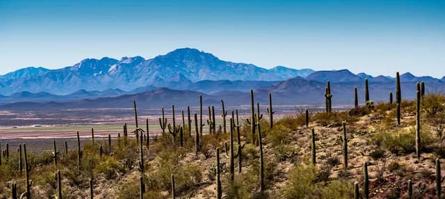 Tucson