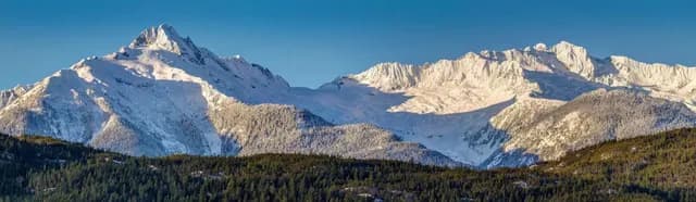 Whistler