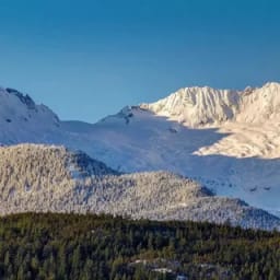 Whistler