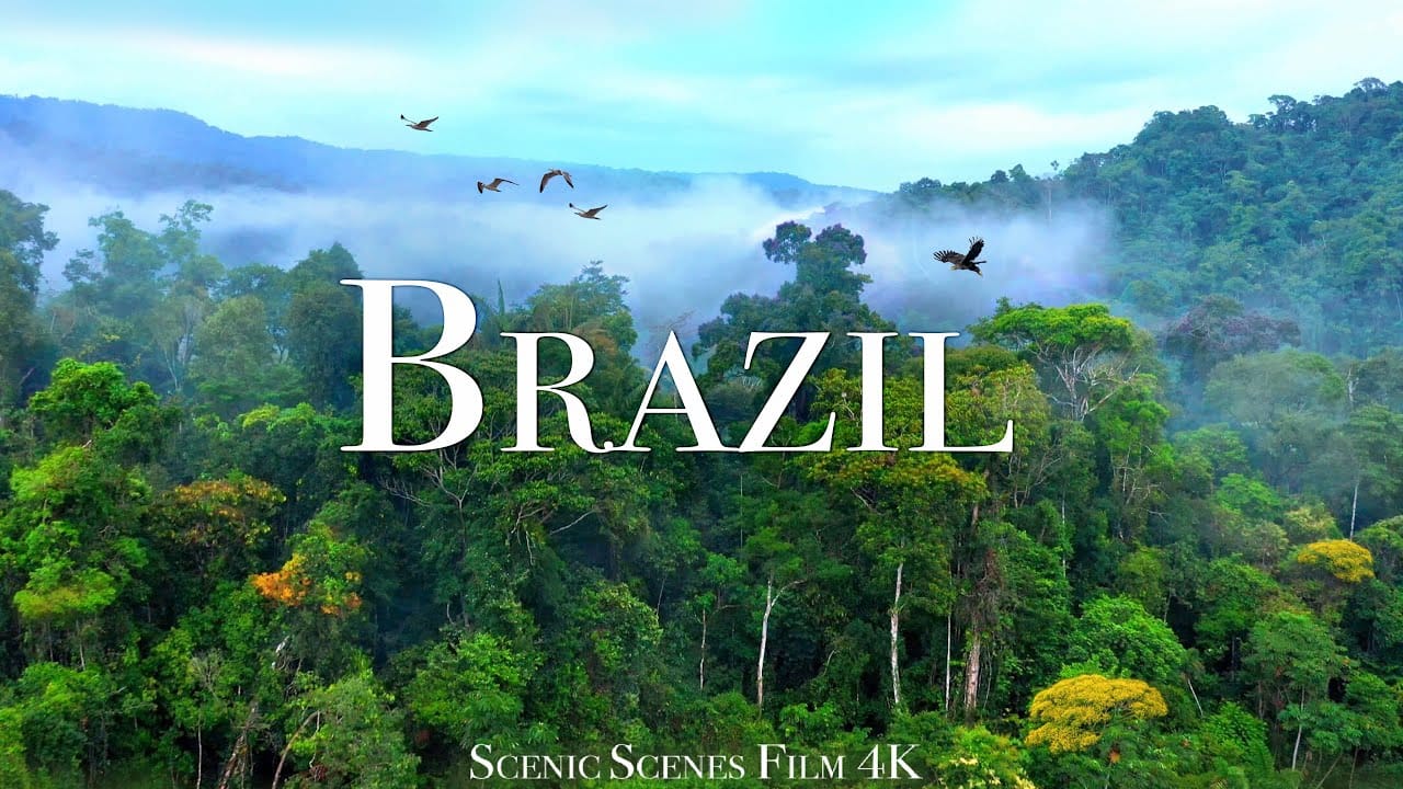 Brasilia video in 4k