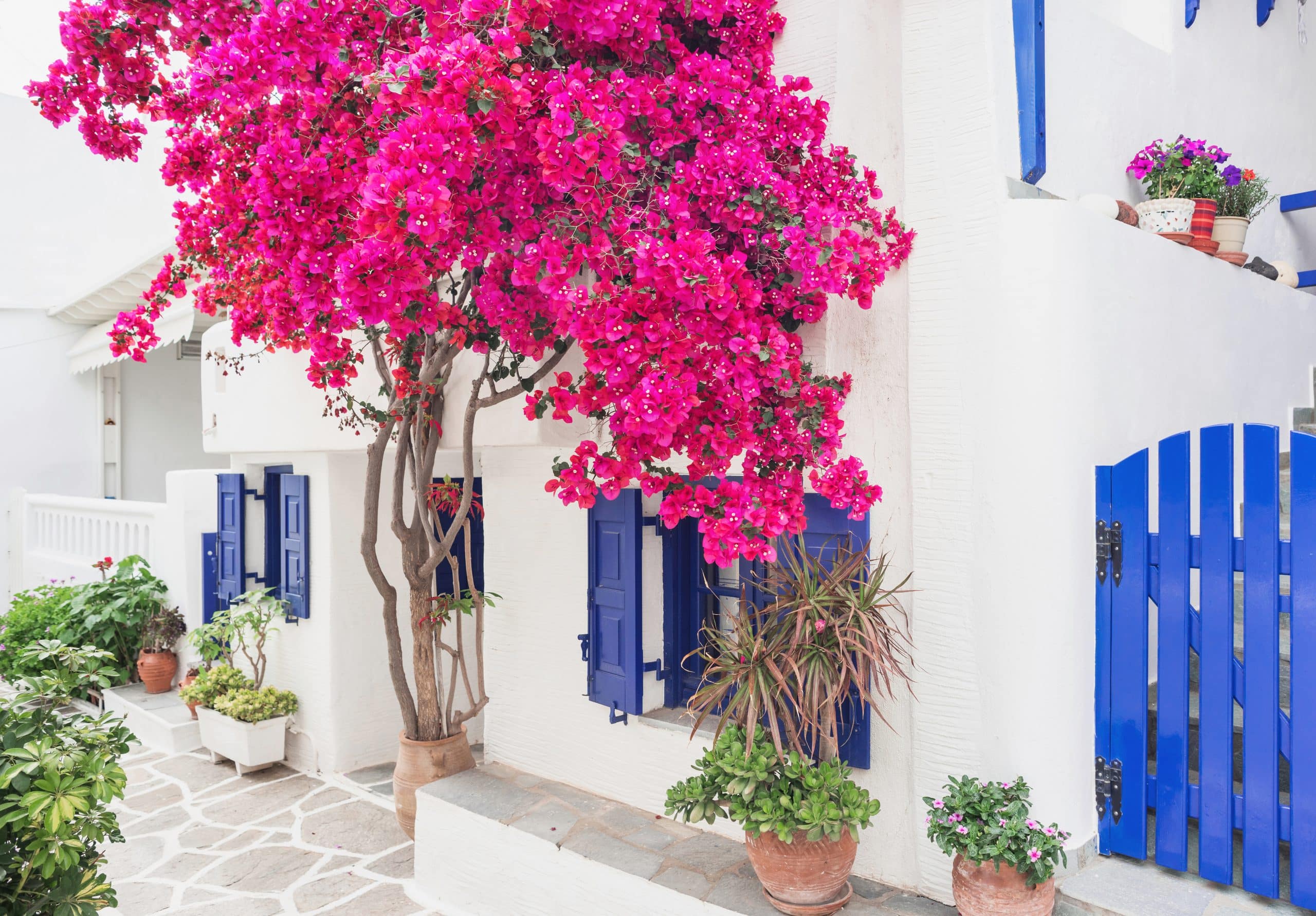 Private Jet Charter flights to Mykonos