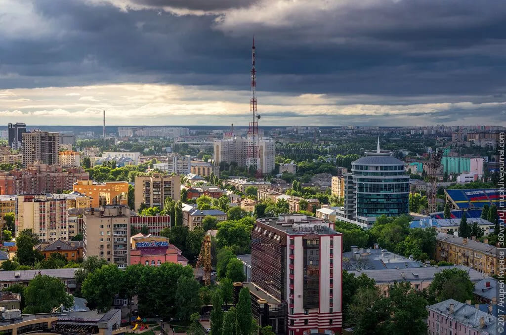 Частный самолет в Воронеж