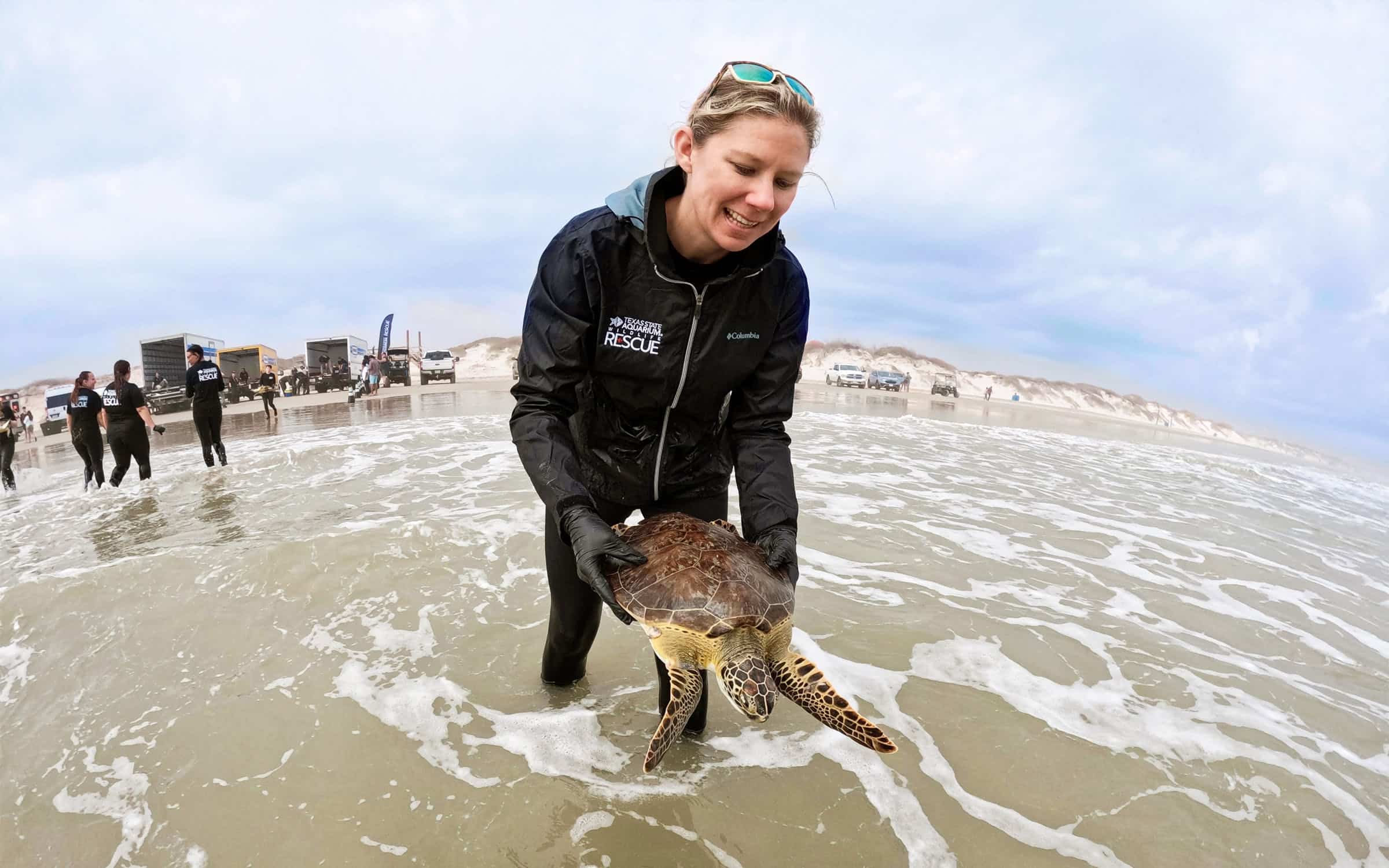 Texas's Biggest Coastal Wildlife Rescue Center in Corpus Christi.