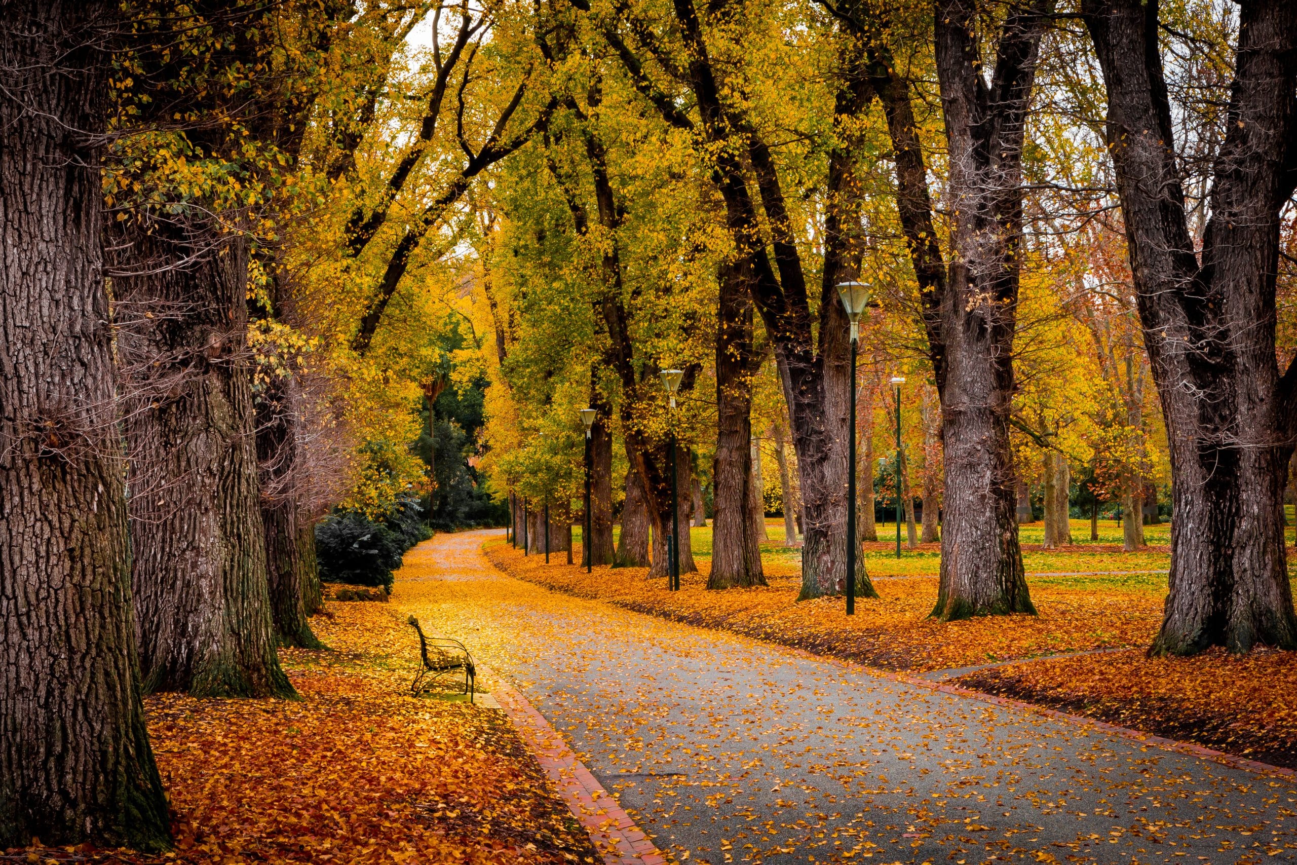 Fitzroy gardens, Melbourne