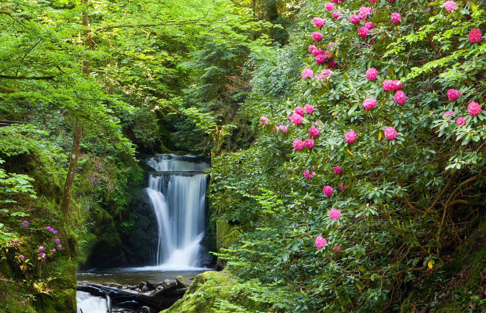 Geroldsau Waterfall. Fly Private to Baden-Baden