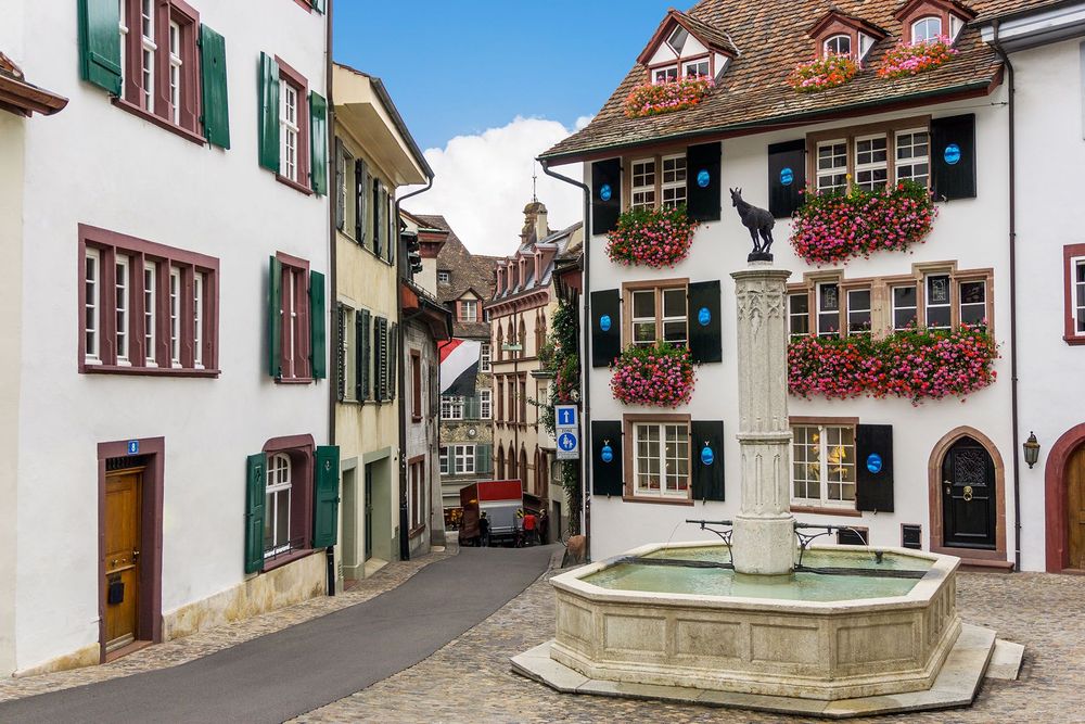 Colourful blooms abound in Basel