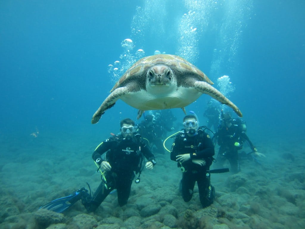 San Juan, scuba diving with turtles. Fly with Private Jet Charter to San Juan.