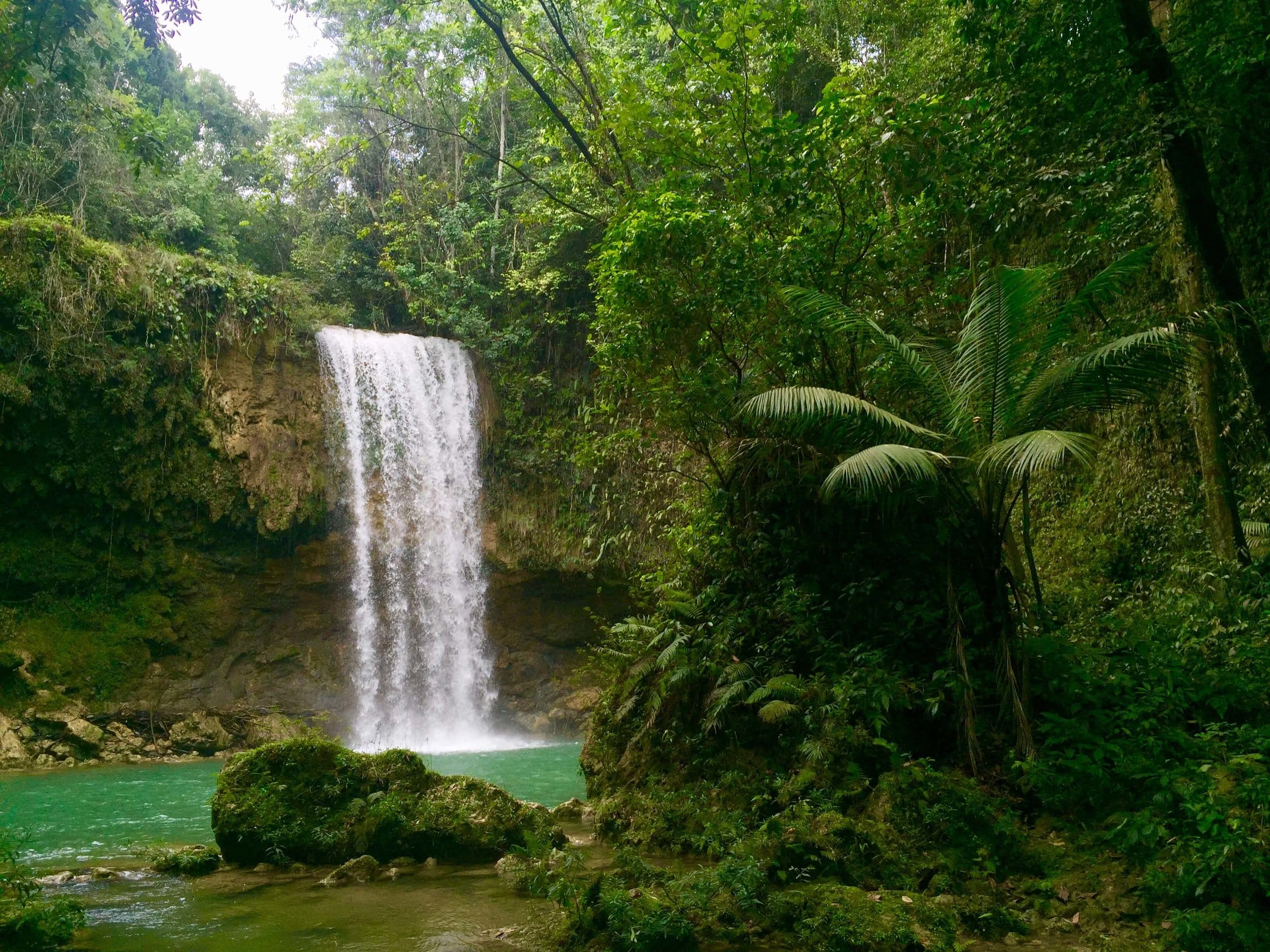 National Park of the East. Fly Private to La Romana.