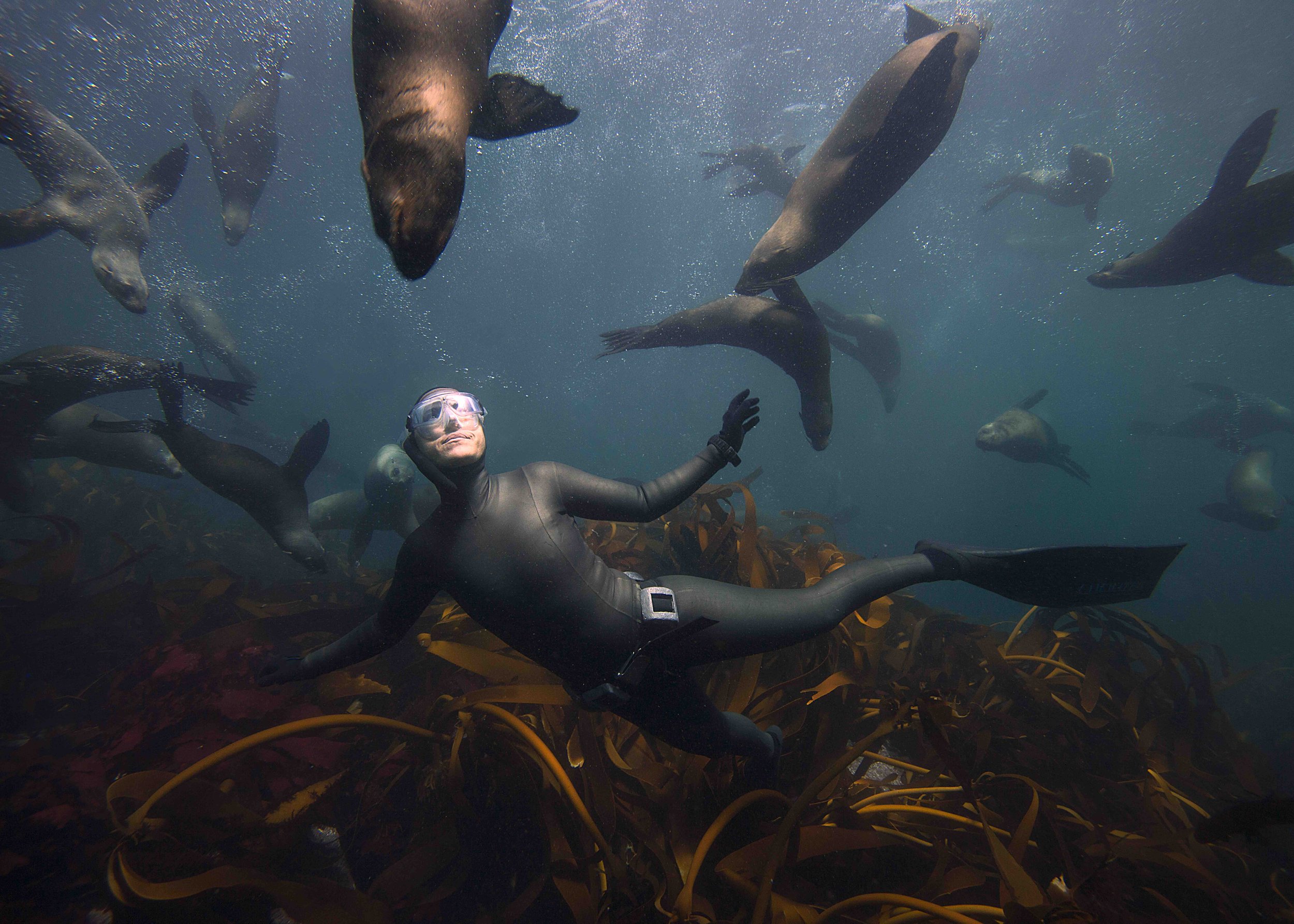 Snorkel with Seals. Fly Private to Nanaimo.