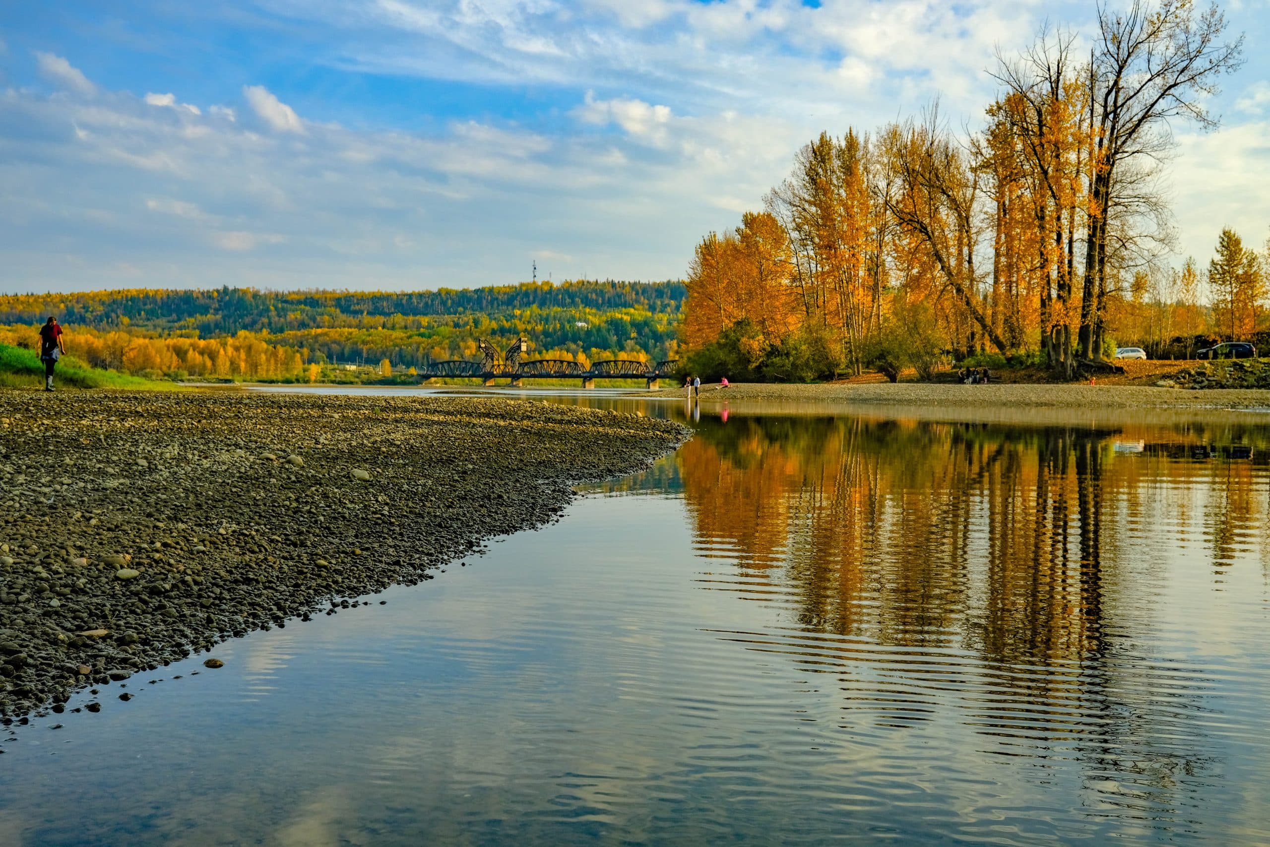 Cottonwood Island Nature Park