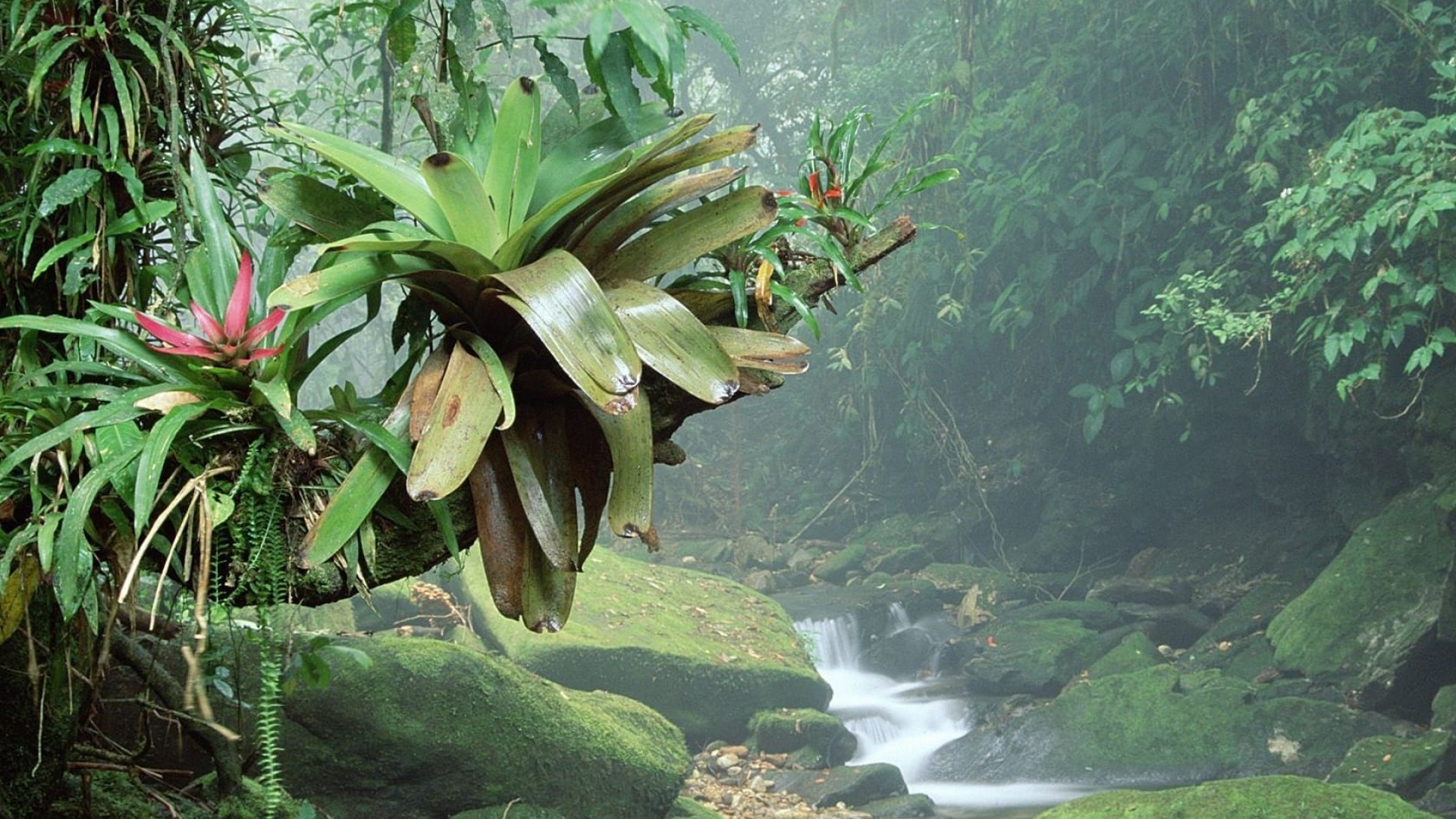 National Park of Brasilia